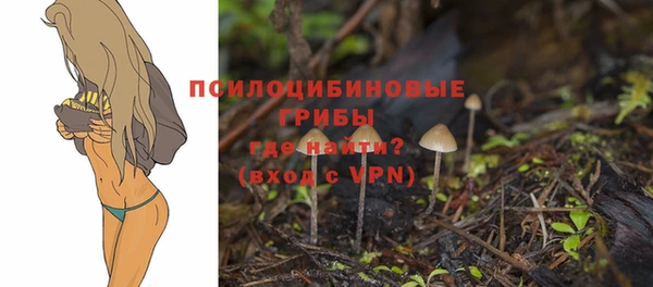 стафф Алексеевка