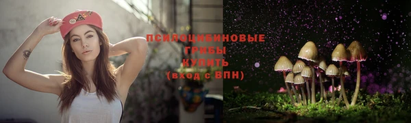 стафф Алексеевка